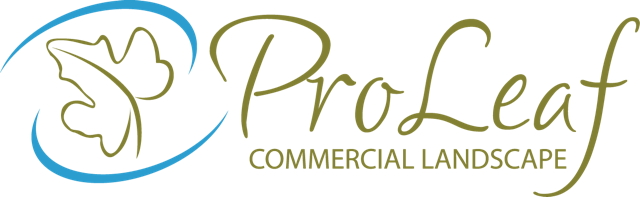 ProLeaf_logo_01_final